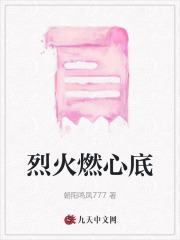 �һ�ȼ�ĵ�