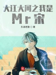 �󽭴��֮����Mr��